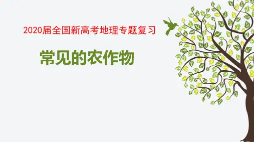 2020届全国新高考地理专题复习  常见的农作物