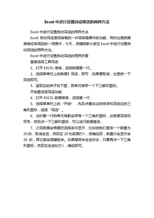 Excel中进行设置自动筛选的两种方法