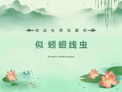 人体寄生虫学课件线虫