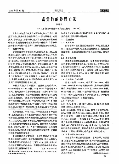 富贵竹的养殖方法