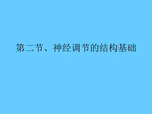 七年级生物下册.2神经调节的结构基础课件