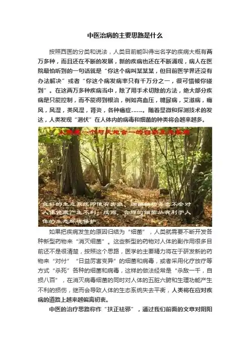 中医治病的主要思路是什么