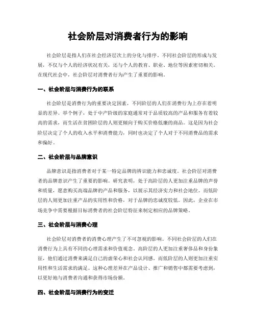 社会阶层对消费者行为的影响