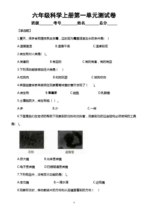 小学科学教科版六年级上册第一单元《微小世界》检测卷(2021新版)(附参考答案和解析)