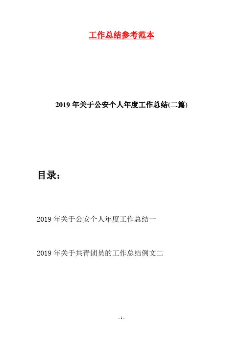 2019年关于公安个人年度工作总结(二篇)