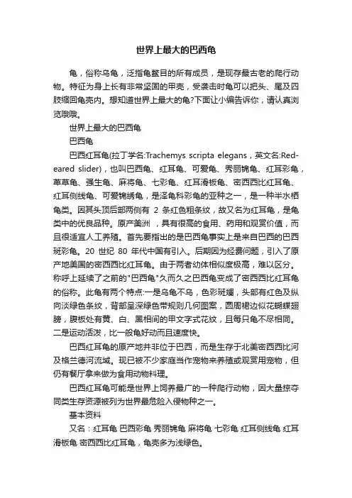 世界上最大的巴西龟
