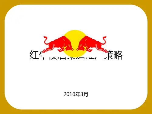 某夜店渠道推广策略课件(PPT 35张)