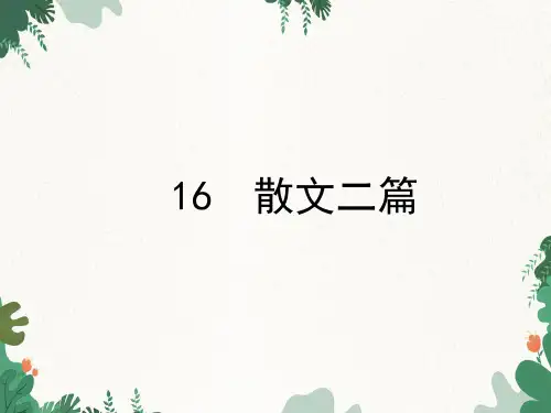 第16课《散文二篇》课件(共25张)语文八年级上册