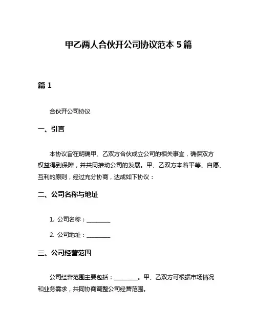 甲乙两人合伙开公司协议范本5篇