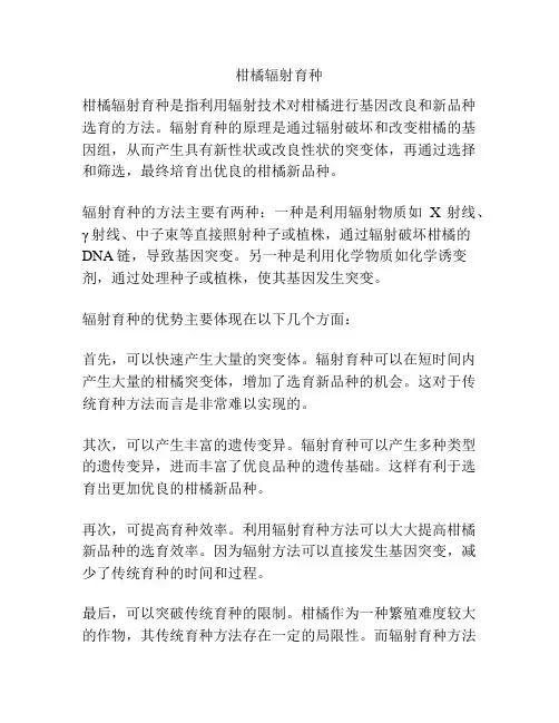 柑橘辐射育种