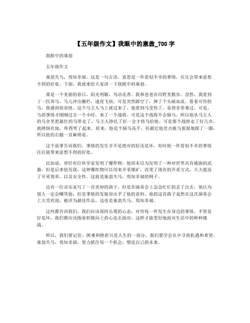 【五年级作文】我眼中的塞翁_700字