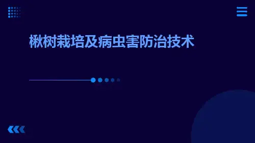 楸树栽培及病虫害防治技术