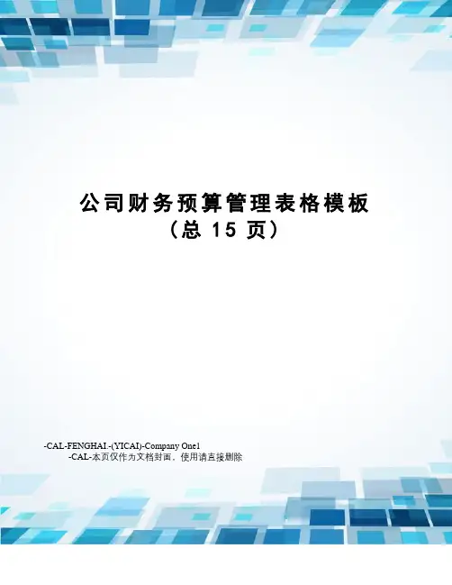 公司财务预算管理表格模板