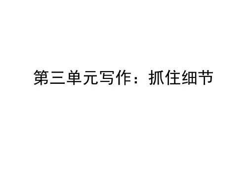 写作：抓住细节ppt课件