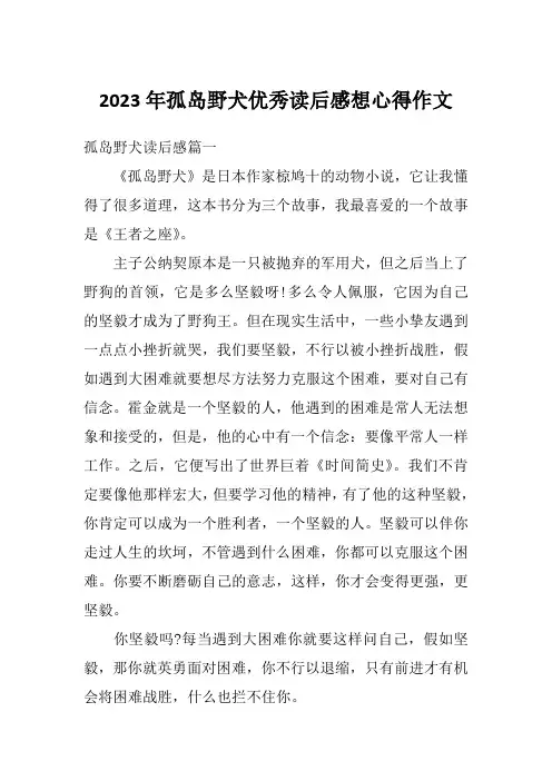 2023年孤岛野犬优秀读后感想心得作文