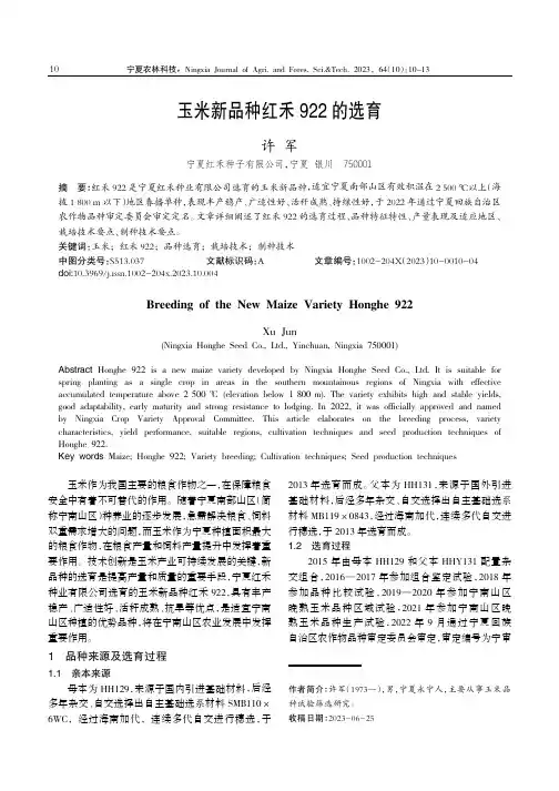 玉米新品种红禾922_的选育
