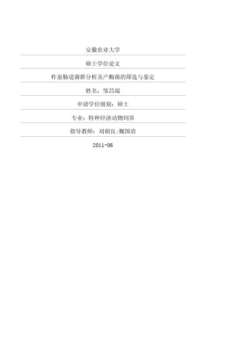 柞蚕肠道菌群分析及产酶菌的筛选与鉴定