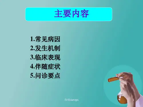 胸痛chestpa课件