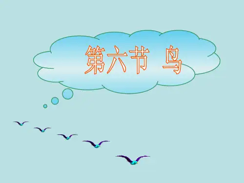 人教版八年级生物上册第5单元第1章第6节鸟(共35张PPT)