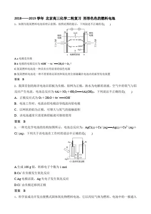 2018——2019学年 北京高三化学二轮复习 形形色色的燃料电池