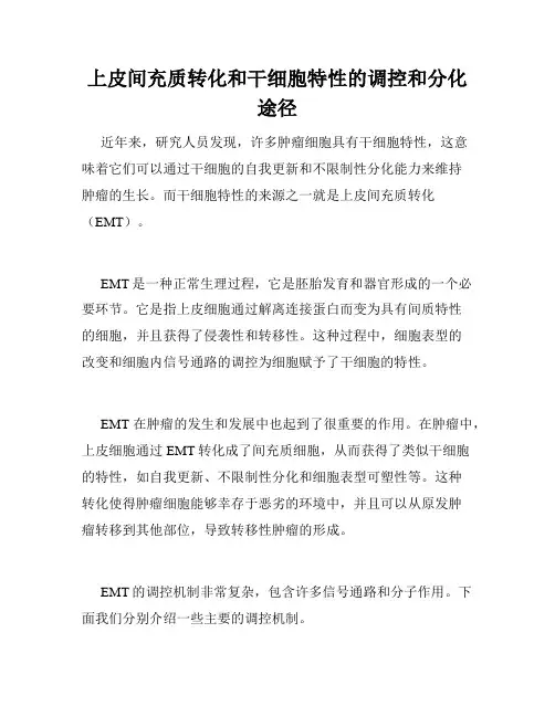 上皮间充质转化和干细胞特性的调控和分化途径