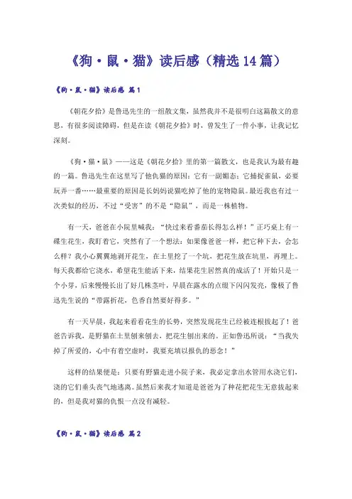 《狗·鼠·猫》读后感(精选14篇)