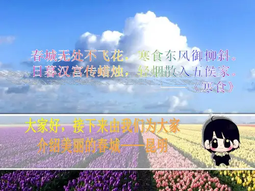 云南昆明简介