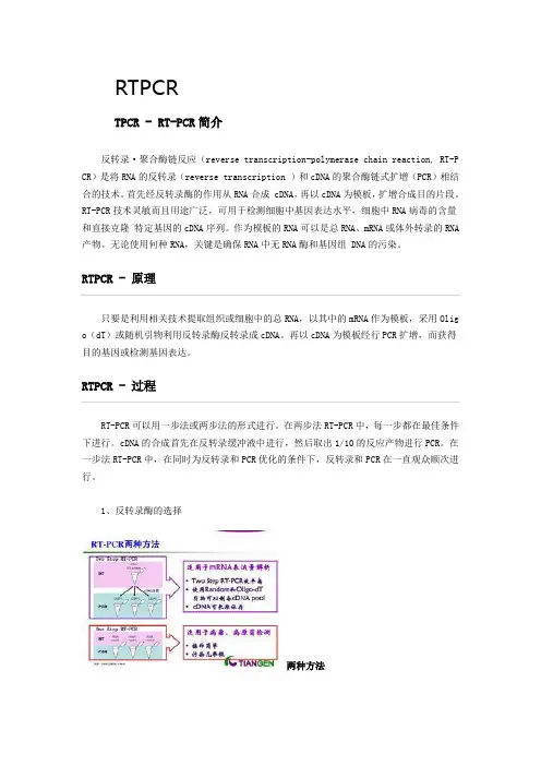 最权威最齐全的PCR汇总及其原理,程序