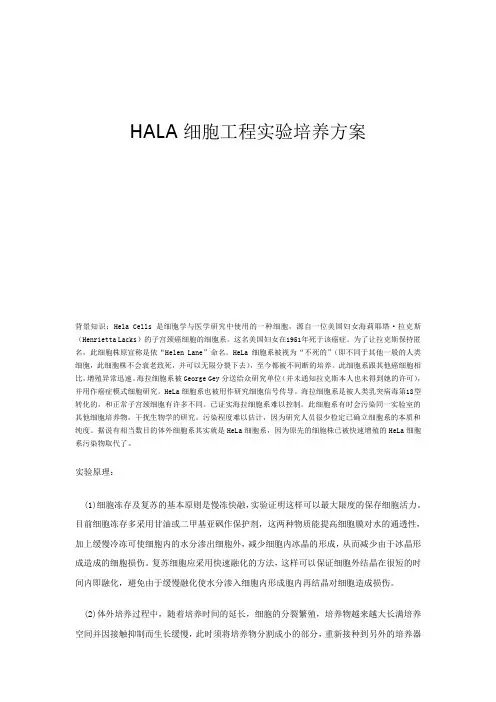 细胞实验方案
