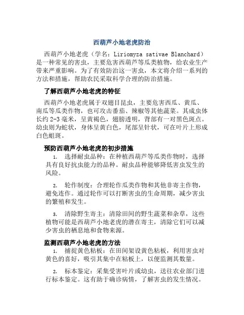 西葫芦小地老虎防治