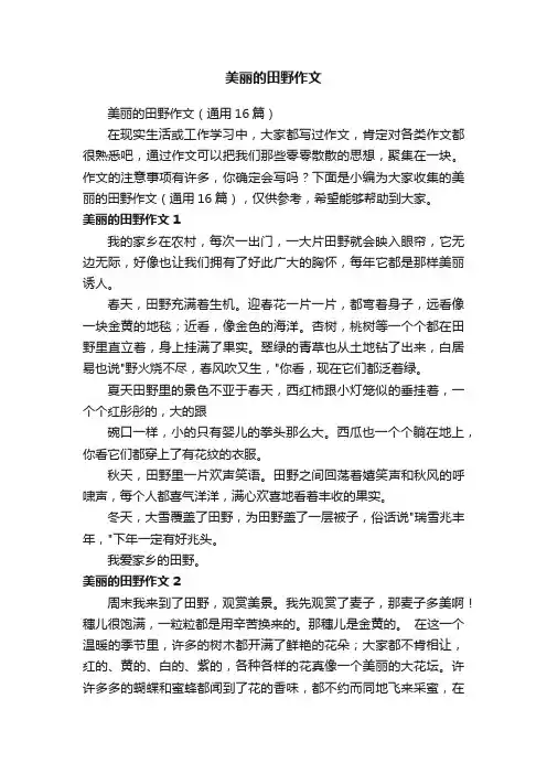 美丽的田野作文（通用16篇）