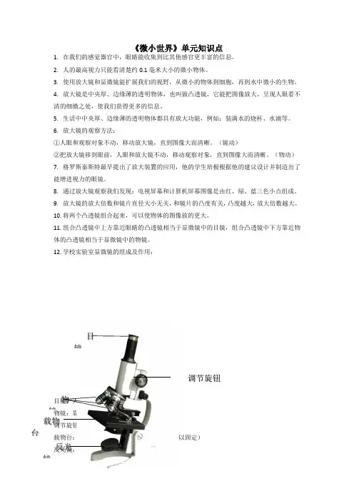 第一单元《微小世界》知识点(素材)六年级科学上册教科版 