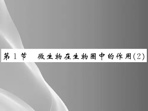 18.1 微生物在生物圈中的作用(2) 2020秋北师大版八年级上册生物课件