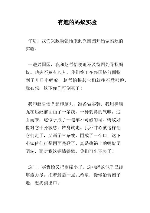 有趣的蚂蚁实验