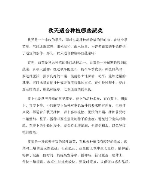 秋天适合种植哪些蔬菜