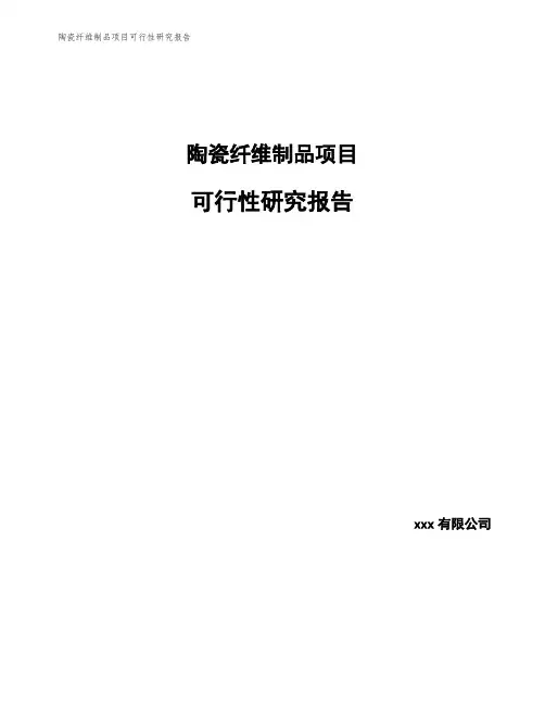 陶瓷纤维制品项目可行性研究报告