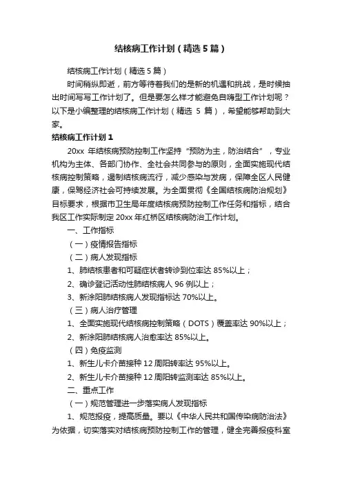 结核病工作计划（精选5篇）