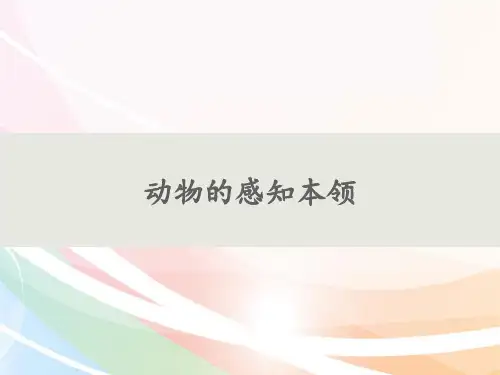 二年级下册科学课件-9动物的感知本领- 鄂教版  (共16张PPT)