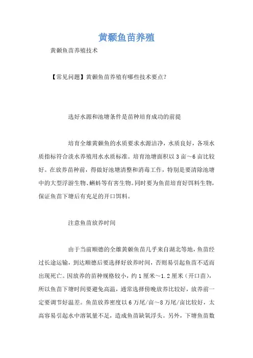 黄颡鱼苗养殖