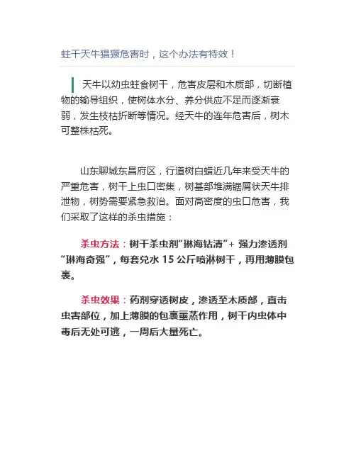 蛀干天牛猖獗危害时,这个办法有特效【园林管理】