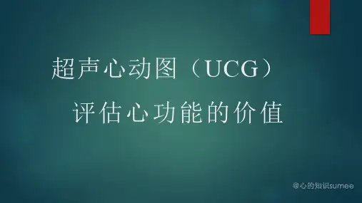 超声心动图评估心功能的价值