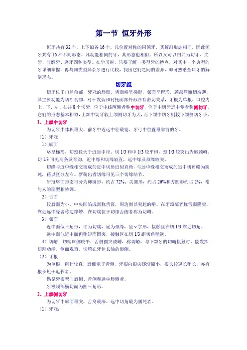 恒牙外形
