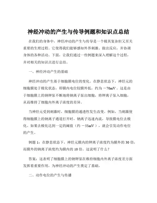神经冲动的产生与传导例题和知识点总结