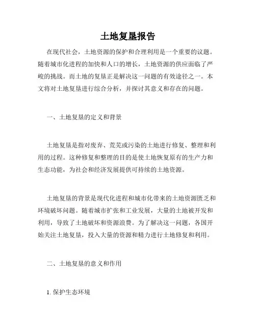 土地复垦报告