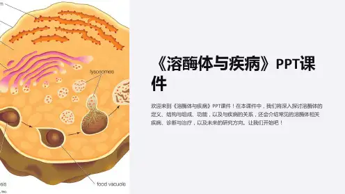 《溶酶体与疾病》课件