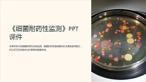 《细菌耐药性监测》课件