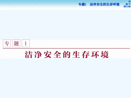 高中化学 专题1 洁净安全的生存环境 第一单元 空气质量的改善课件 苏教版选修1