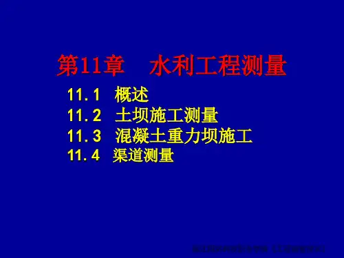 水利工程测量资料文档