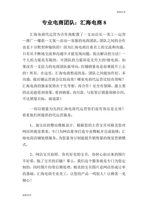 专业电商团队：汇海电商8.doc