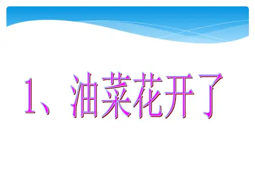 四年级下册科学课件 -2.1 油菜花开了｜教科版 (共16张PPT)
